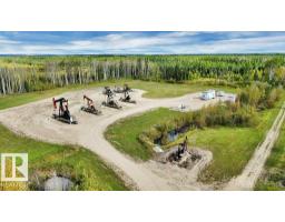 49419 - B Rge Road 85, Rural Brazeau County, AB T7A0C1 Photo 19