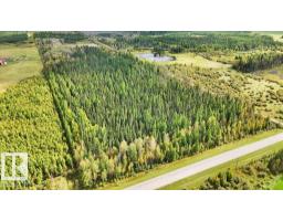 49419 - B Rge Road 85, Rural Brazeau County, AB T7A0C1 Photo 24