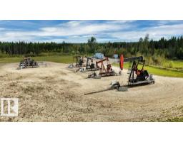 49419 - B Rge Road 85, Rural Brazeau County, AB T7A0C1 Photo 20