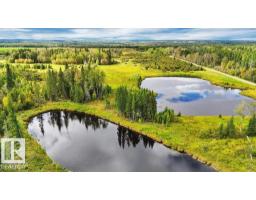 49419 - B Rge Road 85, Rural Brazeau County, AB T7A0C1 Photo 27