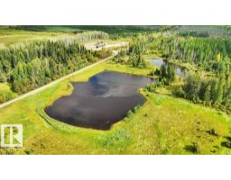 49419 - B Rge Road 85, Rural Brazeau County, AB T7A0C1 Photo 26