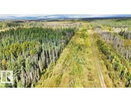 49419 - B Rge Road 85, Rural Brazeau County, AB T7A0C1 Photo 16