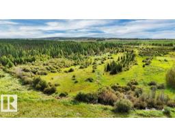 49419 - B Rge Road 85, Rural Brazeau County, AB T7A0C1 Photo 30