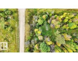 49419 - B Rge Road 85, Rural Brazeau County, AB T7A0C1 Photo 21