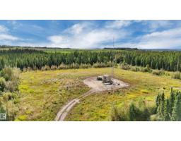 49419 - B Rge Road 85, Rural Brazeau County, AB T7A0C1 Photo 38