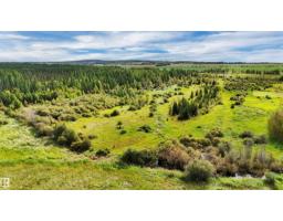 49419 - B Rge Road 85, Rural Brazeau County, AB T7A0C1 Photo 7