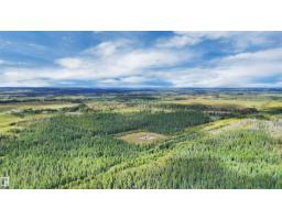 49419 - B Rge Road 85, Rural Brazeau County, AB T7A0C1 Photo 35