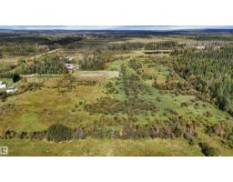 49419 - B Rge Road 85, Rural Brazeau County, AB T7A0C1 Photo 32