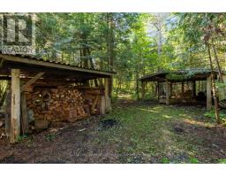 157 Baxter Loop Road, Georgian Bay, ON L0K1S0 Photo 16
