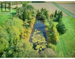 595386 Highway 59 Highway, Woodstock, ON N4S7W1 Photo 9