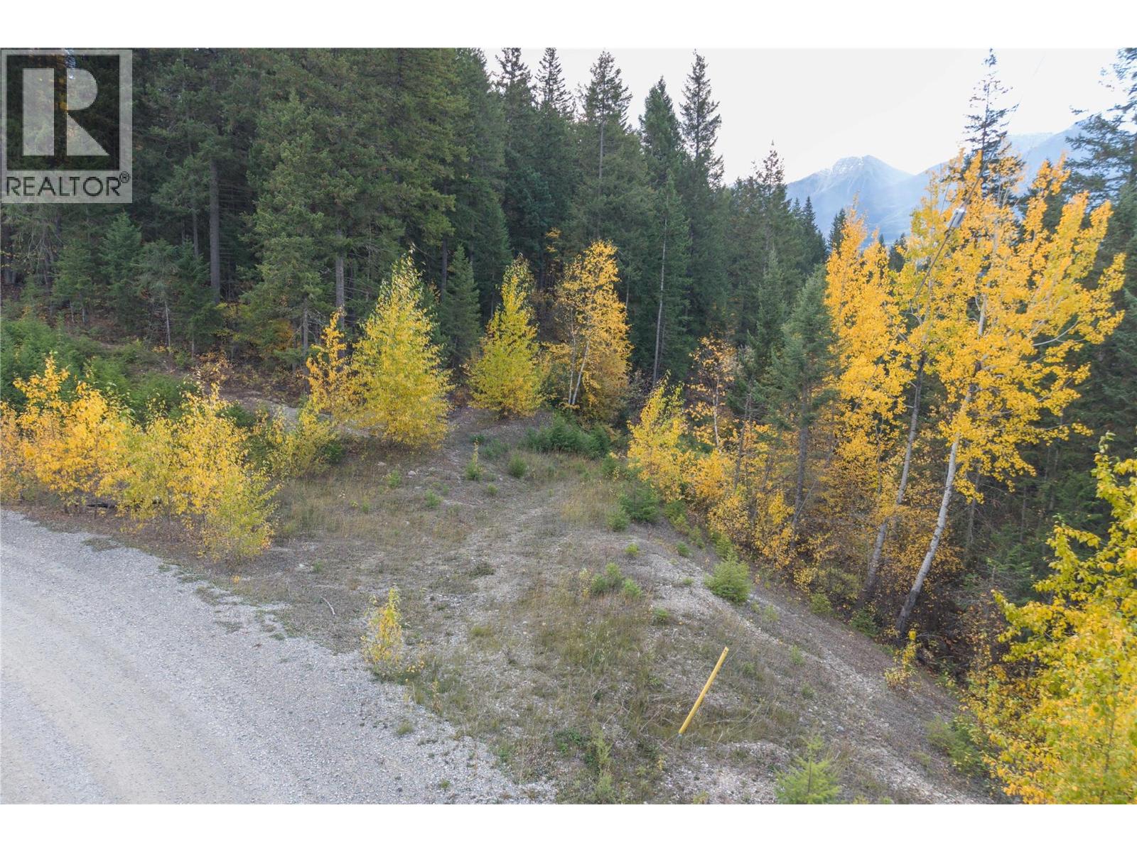 1260 WHITETAIL Drive - 4