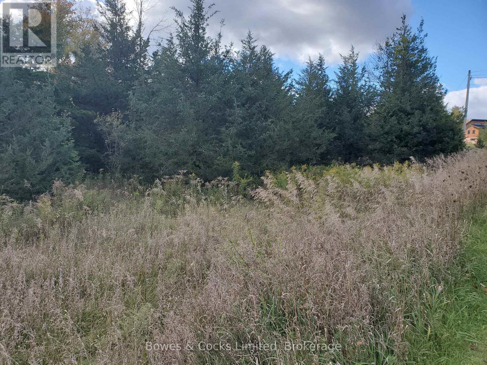Lot 12 Lakeview Drive, Trent Hills, ON photo 10