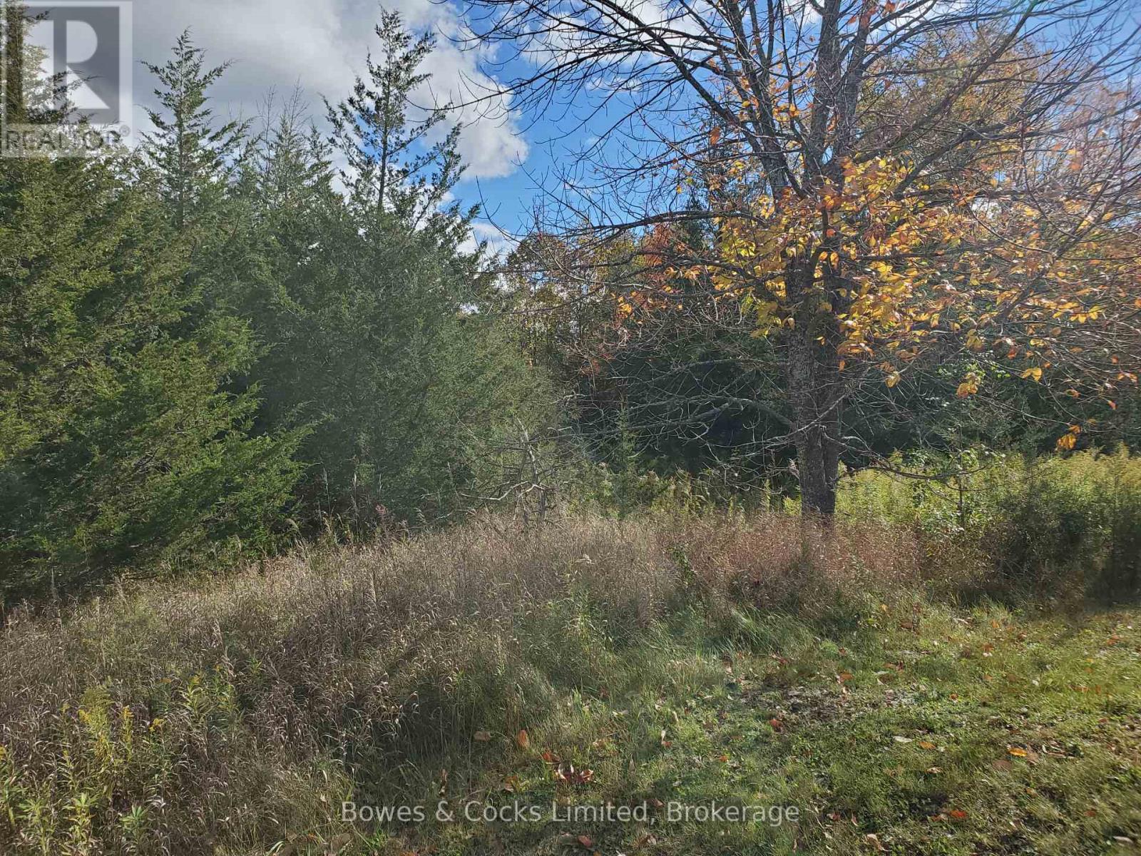 Lot 12 Lakeview Drive, Trent Hills, ON photo 11