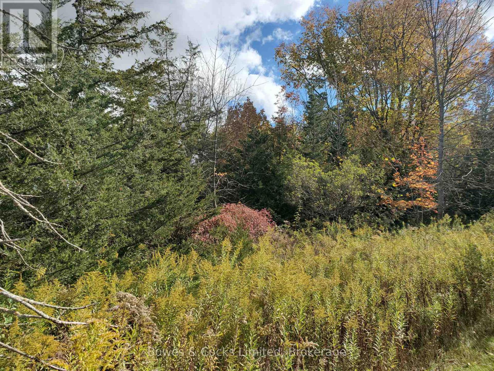 Lot 12 Lakeview Drive, Trent Hills, ON photo 12