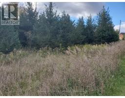 Lot 12 Lakeview Drive, Trent Hills, ON K0L1L0 Photo 10