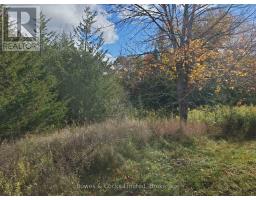 Lot 12 Lakeview Drive, Trent Hills, ON K0L1L0 Photo 11