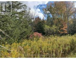 Lot 12 Lakeview Drive, Trent Hills, ON K0L1L0 Photo 12