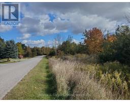 Lot 12 Lakeview Drive, Trent Hills, ON K0L1L0 Photo 8