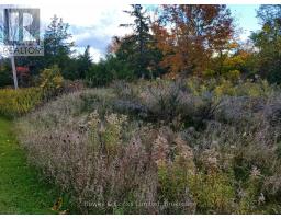 Lot 12 Lakeview Drive, Trent Hills, ON K0L1L0 Photo 9