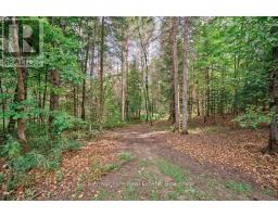 123 East Waseosa Lk Road, Huntsville, ON P1H2J4 Photo 44