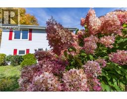 10 Birch Lane, photo 3
