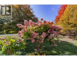 10 Birch Lane, Willow Grove, NB E2S1K5 Photo 47