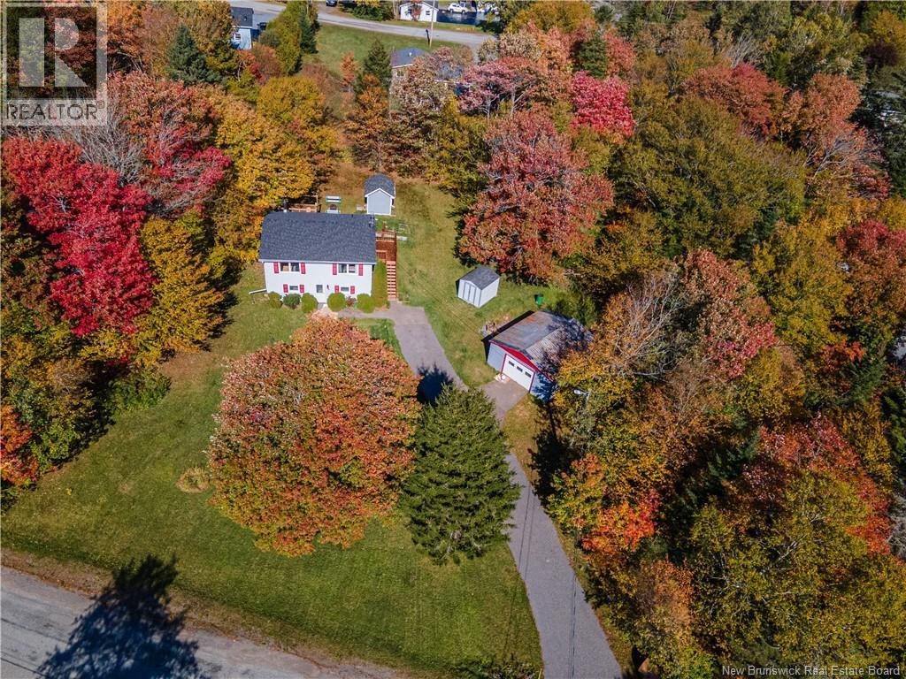 10 Birch Lane - 6