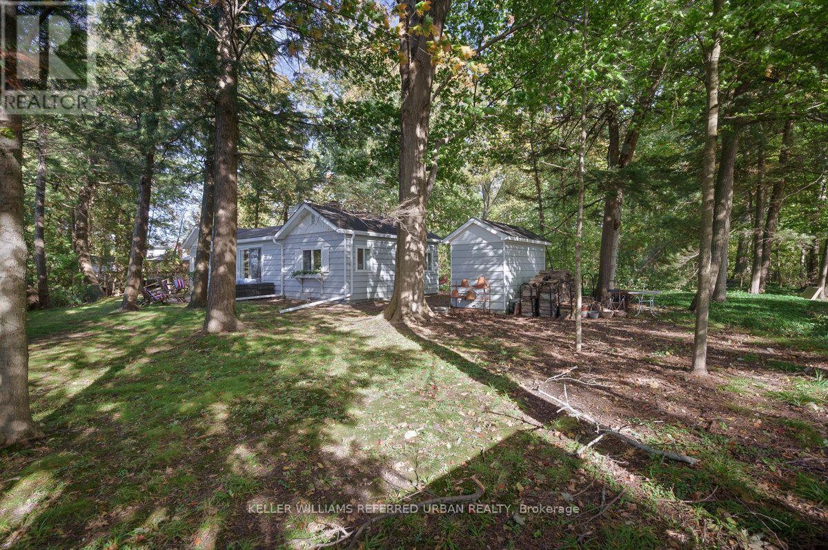 25180 MAPLE BEACH ROAD - 3