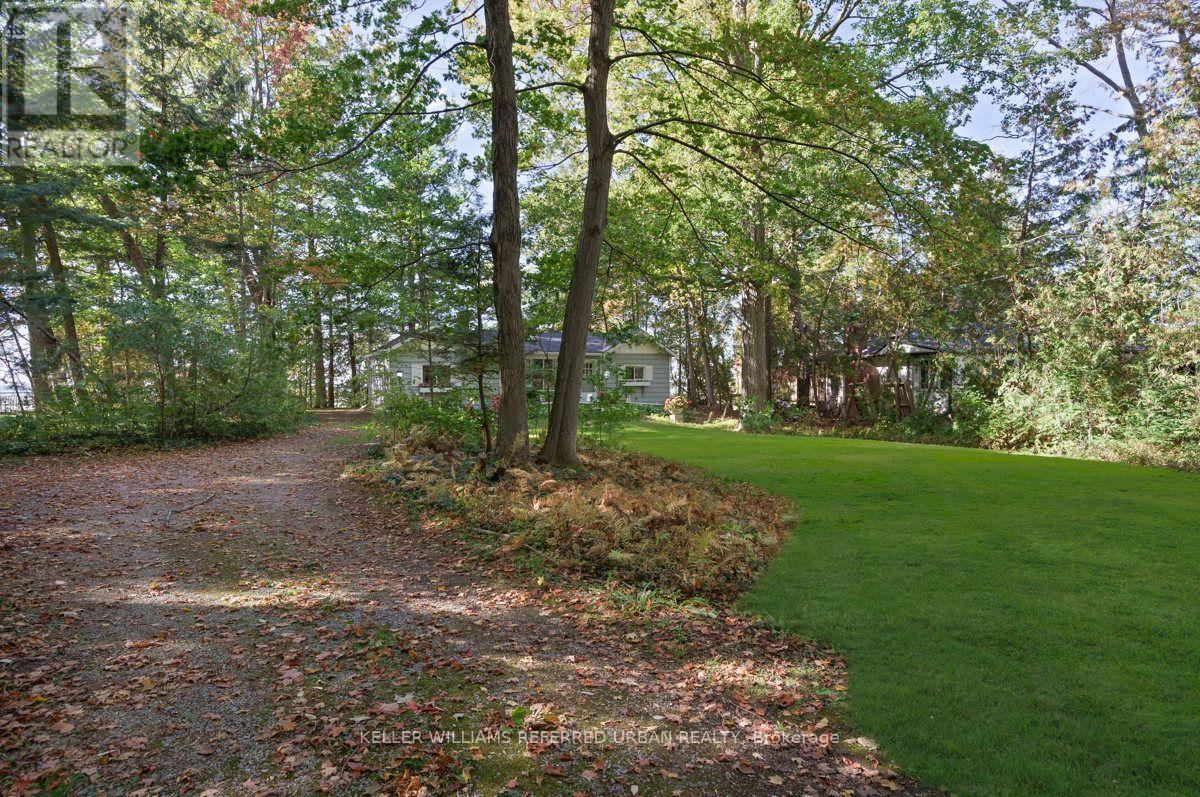 25180 Maple Beach Road, Brock, ON photo 6