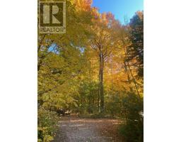 25180 Maple Beach Road, Brock, ON L0K1A0 Photo 28