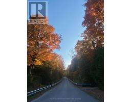 25180 Maple Beach Road, Brock, ON L0K1A0 Photo 33