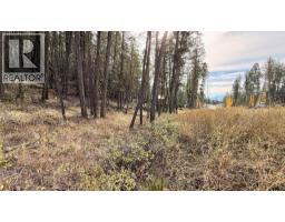 Lot 44 Mountain View Drive, Fairmont Hot Springs, BC V0B1L1 Photo 15
