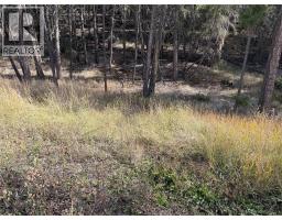 Lot 44 Mountain View Drive, Fairmont Hot Springs, BC V0B1L1 Photo 13