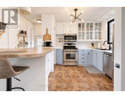 Other - 8 Peel Street, Hamilton, ON L9H2Z7 Photo 9