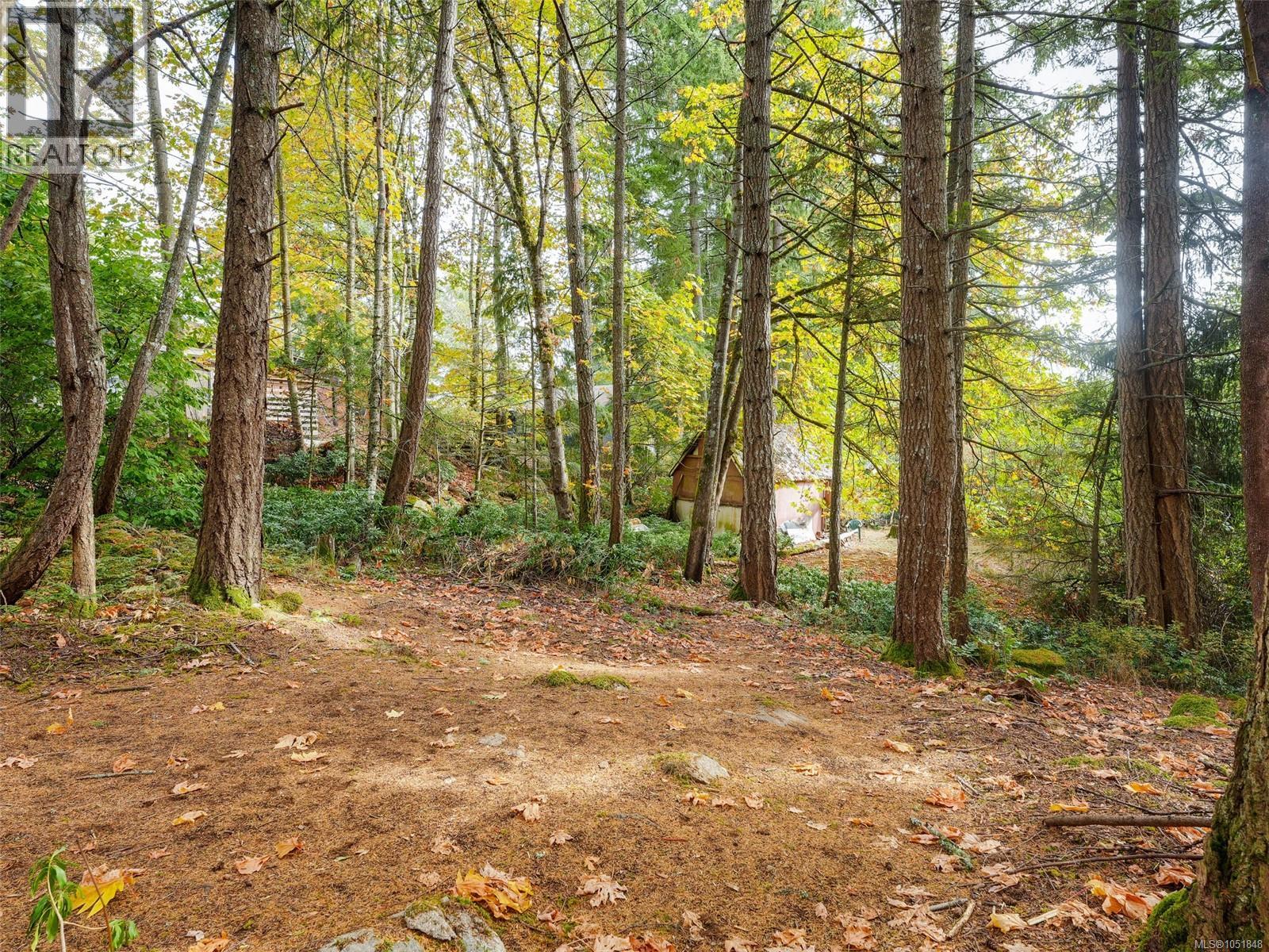 2511 Florence Lake Rd - 38
