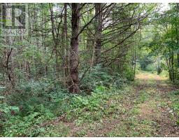 00 Con11 Pine Grove Road, Greater Napanee, ON K0K2L0 Photo 10