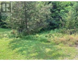 00 Con11 Pine Grove Road, Greater Napanee, ON K0K2L0 Photo 13