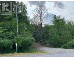 00 Con11 Pine Grove Road, Greater Napanee, ON K0K2L0 Photo 6