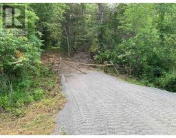 00 Con11 Pine Grove Road, Greater Napanee, ON K0K2L0 Photo 7