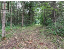 00 Con11 Pine Grove Road, Greater Napanee, ON K0K2L0 Photo 9