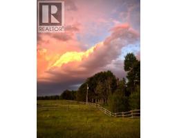 6029 Township Road 332, Rural Mountain View County, AB T0M1X0 Photo 48