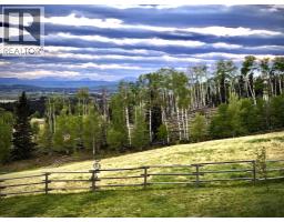 6029 Township Road 332, Rural Mountain View County, AB T0M1X0 Photo 47