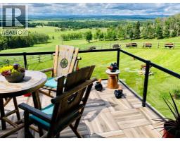 6029 Township Road 332, Rural Mountain View County, AB T0M1X0 Photo 38