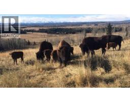 6029 Township Road 332, Rural Mountain View County, AB T0M1X0 Photo 42