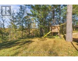 202 Edwina Drive, Trent Lakes, ON K0M1A0 Photo 35