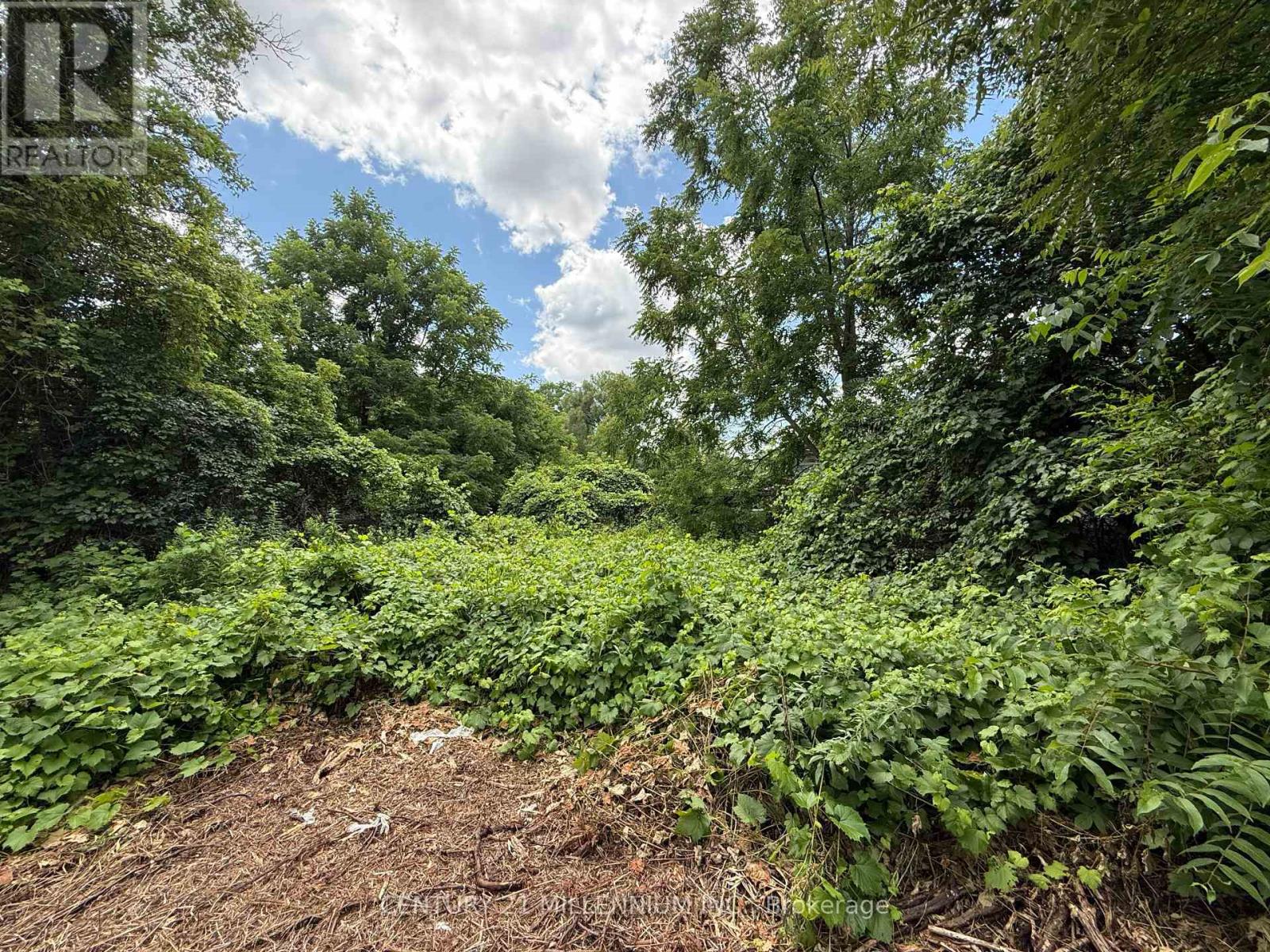 0 Broda Drive, Vaughan, ON photo 7