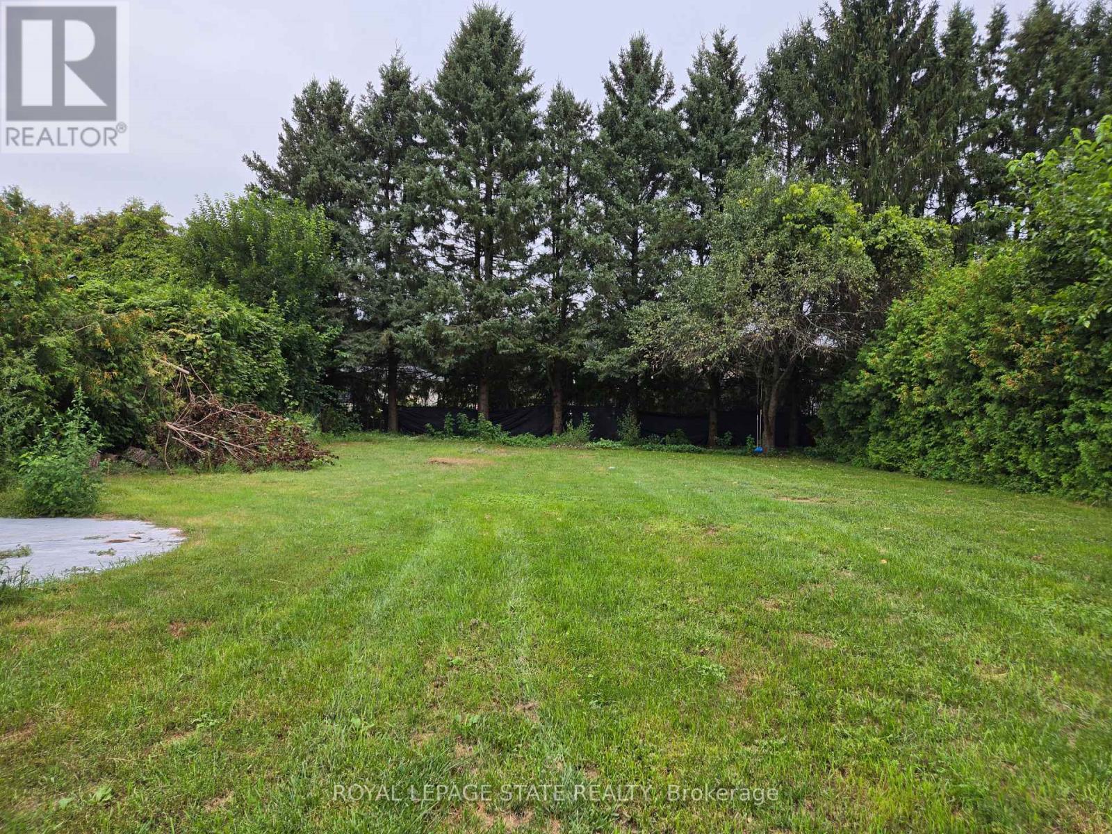 8 LYNDHURST AVENUE - 6