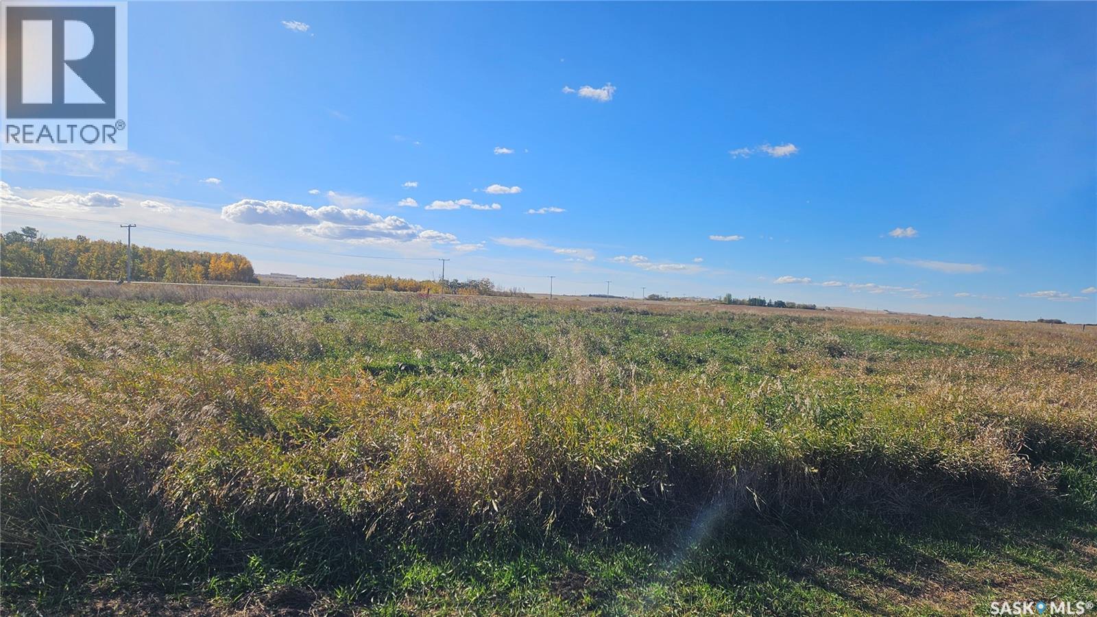 Billo Acreage, St. Louis RM No. 431 — photo 3