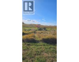 Billo Acreage, St  Louis Rm No  431, SK S0K1G0 Photo 9