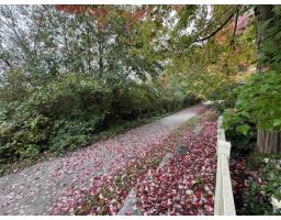 49 15155 62a Avenue, Surrey, BC V3S8A6 Photo 31